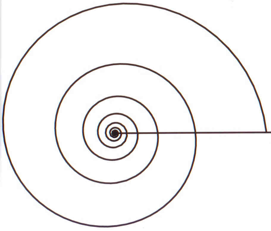 Logrithmic spiral